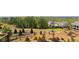 Scenic backyard view with lush greenery, putting green, and well-manicured landscaping at 413 Horizon Trl, Canton, GA 30114