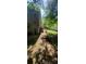 An expansive backyard with partial fencing, trees, and some brush on the side of the house at 728 Brittany Ct, Stone Mountain, GA 30083