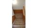 Carpeted stairs with wood trim leading to the upper or lower level at 728 Brittany Ct, Stone Mountain, GA 30083