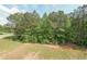A wooded lot in a residential neighborhood at 8090 Tristan Way, Whitesburg, GA 30185