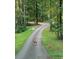 Picturesque driveway leading to a home, with deer grazing on the roadside at 7350 Banks Mill Rd, Douglasville, GA 30135