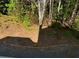 Wooded property view showing tree line at 5679 Coopers Glen Ct, Mableton, GA 30126