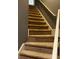 Carpeted staircase with gray walls and white trim at 5679 Coopers Glen Ct, Mableton, GA 30126