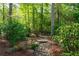 Beautiful backyard with a rock garden and lush greenery at 2111 Democracy Dr, Buford, GA 30519