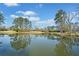 Picturesque pond reflects the surrounding trees on a sunny day creating a calm atmosphere at 441 Spring View Dr, Woodstock, GA 30188