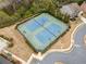 Aerial view of two meticulously maintained tennis courts and surrounding landscaped areas at 441 Spring View Dr, Woodstock, GA 30188