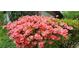 Charming home exterior featuring a beautiful azalea bush in full bloom at 2687 Goodfellows Rd, Tucker, GA 30084
