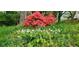Landscaping view of the pink flowers and white flowers at 2687 Goodfellows Rd, Tucker, GA 30084