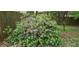 Landscaping view of the pink flowers and a wooden fence at 2687 Goodfellows Rd, Tucker, GA 30084