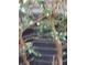 A lush tree with green leaves and brown trunks at 3088 Balearic Dr, Marietta, GA 30067