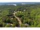 Scenic aerial view of homes surrounded by lush green trees near a peaceful lake at 313 Red Fox Dr, Canton, GA 30114