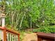 View of backyard from the deck, showcasing the serene and private wooded surroundings at 111 Churchcliff Dr, Woodstock, GA 30188