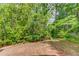 Backyard with a patch of tall grass and a lush green wooded perimeter at 1099 Mount Water Ln, Lawrenceville, GA 30043