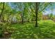 Sprawling backyard with mature trees, a lush lawn, and a well-maintained fence at 579 Delphinium Nw Blvd, Acworth, GA 30102