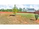 Sprawling backyard enclosed by wood fence at 206 Prescott St, Locust Grove, GA 30248