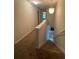 Carpeted staircase leading to a finished basement with a decorative pendant light at 236 Bobbie Way, Woodstock, GA 30189