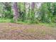 A view of the wooded backyard with mature trees and lots of greenery at 5340 The Savoy St, Atlanta, GA 30349