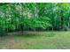 Tree-filled backyard offering great privacy and outdoor space at 3664 Satellite Ter, Ellenwood, GA 30294