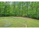 Large backyard with tall trees and a wooden fence at 1275 Smokehouse Trl, Cumming, GA 30041