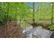 Picturesque creek flowing through a verdant wooded area, offering a peaceful natural setting at 1275 Smokehouse Trl, Cumming, GA 30041