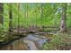 Scenic view of a creek running through a lush, green wooded area at 1275 Smokehouse Trl, Cumming, GA 30041