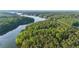 Scenic aerial view of a beautiful lake surrounded by lush forest, offering privacy and nature at 1336 Amberwood Dr, Woodstock, GA 30189