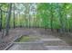 Serene wooded backyard featuring stairs and a natural setting with tall trees and leafy ground cover at 1336 Amberwood Dr, Woodstock, GA 30189