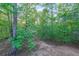 Wooded backyard with mature trees offering privacy and a tranquil setting at 1336 Amberwood Dr, Woodstock, GA 30189