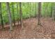 A serene woodland scene with a natural trail winding through a forest of lush trees at 1336 Amberwood Dr, Woodstock, GA 30189