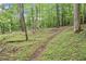 Scenic wooded property with a winding path surrounded by lush greenery and mature trees at 1336 Amberwood Dr, Woodstock, GA 30189