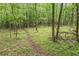 A picturesque wooded lot featuring a tranquil walking path surrounded by lush trees and foliage at 1336 Amberwood Dr, Woodstock, GA 30189