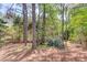 Wooded property lot featuring mature trees and natural undergrowth at 3095 Willow Park Dr, Dacula, GA 30019