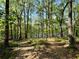 A picturesque scene of a wooded landscape with dense trees leading down to a serene lake at 3650 Deep Cove Dr, Cumming, GA 30041
