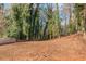 A wooded backyard offers privacy and potential for landscaping and outdoor activities at 4175 Danforth Sw Rd, Atlanta, GA 30331