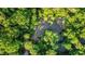 A serene aerial view of trees surrounding a swampy area at 4614 Riveredge Cv, Snellville, GA 30039