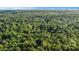 Lush aerial view showing the verdant wooded land surrounding the real estate property at 4614 Riveredge Cv, Snellville, GA 30039