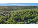 An aerial view shows a home nestled among lush greenery and mature trees at 4614 Riveredge Cv, Snellville, GA 30039