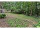 Lush backyard offering a serene setting with a mix of trees and open grassy areas at 3876 Winners Ct, Marietta, GA 30062