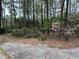 Serene view of the property with mature trees, flowering plants, and natural surroundings at 2932 Highway 20 Se, Conyers, GA 30013