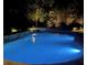 Beautiful private pool at night with accent lights and a stone border at 3855 Greenside Ct, Dacula, GA 30019
