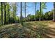 Expansive wooded backyard with lush greenery offering shade and privacy at 5452 Tally Green Dr, Marietta, GA 30068