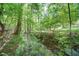 Scenic view of a serene creek flowing through a wooded area, showcasing the property's natural surroundings at 619 Stoney Creek Rd, Woodstock, GA 30188