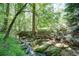 Tranquil creek with mossy rocks flowing through a verdant wooded area, highlighting the property's natural beauty at 619 Stoney Creek Rd, Woodstock, GA 30188
