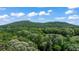 Expansive acreage with lush trees and serene mountain views at 1749 Patriots Nw Way, Kennesaw, GA 30152