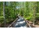 Elevated greenway bridge surrounded by lush green trees and foliage at 4035 Regal Oaks Dr, Suwanee, GA 30024