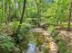 Secluded backyard featuring a peaceful stream surrounded by lush greenery at 989 Pinfeather Ct, Lawrenceville, GA 30043