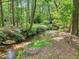 Scenic creek through the property, shaded by lush trees and foliage, creating a serene and natural setting at 989 Pinfeather Ct, Lawrenceville, GA 30043