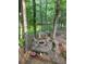 Backyard fire pit area with mature trees and outdoor seating at 989 Pinfeather Ct, Lawrenceville, GA 30043