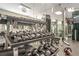 A variety of weights and equipment are on display in the spacious gym with mirrors at 3481 Lakeside Dr # 601, Atlanta, GA 30326