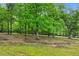 Expansive land with mature trees and lush green grass at 65 Maude White Rd, Kingston, GA 30145